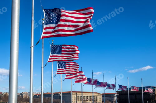 Preview: Many American Flags Waving at Washington Monument - Washington, D.C., USA