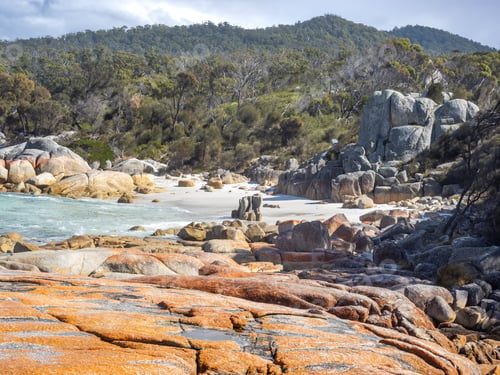 Preview: Bay of fires conservation area in Tasmania