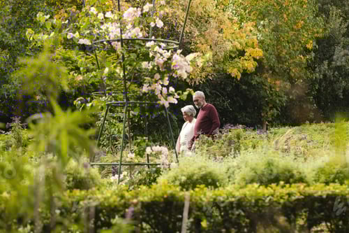 Preview: Happy senior biracial couple holding hands and walking in garden at home, copy space