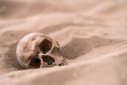 Preview: Human Skull In The Sand
