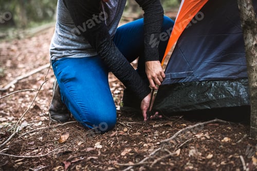 Preview: Friends camping in the forest together