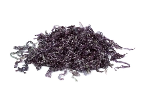 Alga nori salada