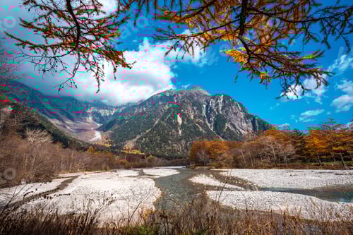 Preview: Earth Day eco concept with tropical forest background, natural forestation preservation scene