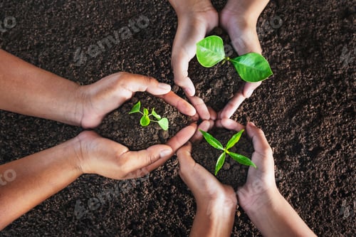 Preview: top view three hand holding plant on soil. eco concept