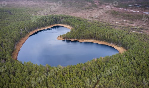 Preview: Aerial view to the natural heart-shaped forest lake on Parika nature reserve, Viljandi, Estonia