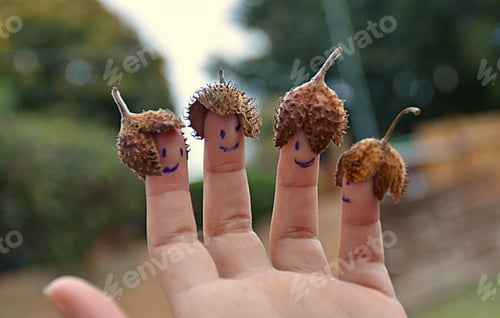 Preview: fall family