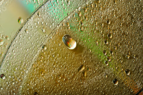 Preview: Colorful, Rainbow, Abstract Background. Water Drops. Condensate. Texture Of Glass. Parallel Lines