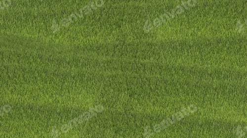 Preview: Green grass background of football field.