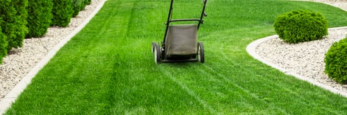 Preview: lawn mower