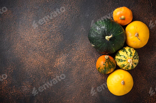 Preview: Assortment of decorative pumpkins. Autumn background