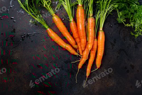 Preview: Fresh carrots with green leaves