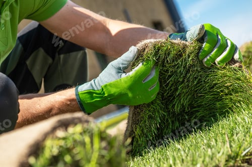 Preview: Man Laying Grass on Lawn and performing turf Examination