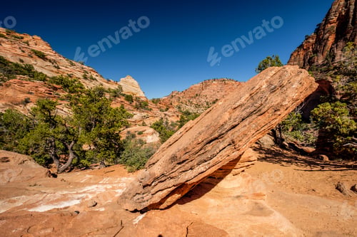Preview: Landscape in Zion National Park