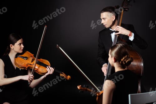 Preview: trio of professional musicians playing on musical instruments on dark stage