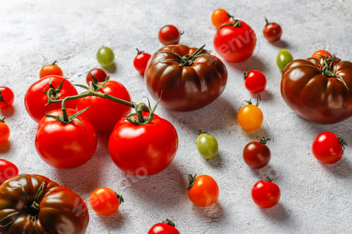 Preview: Fresh organic various tomatoes.