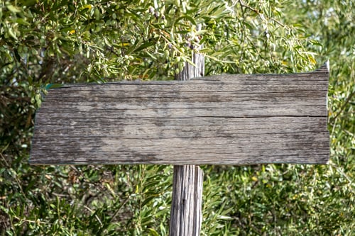 Preview: Old grey wooden blank sign board on pole in front of olive tree branch background. Empty, copy space
