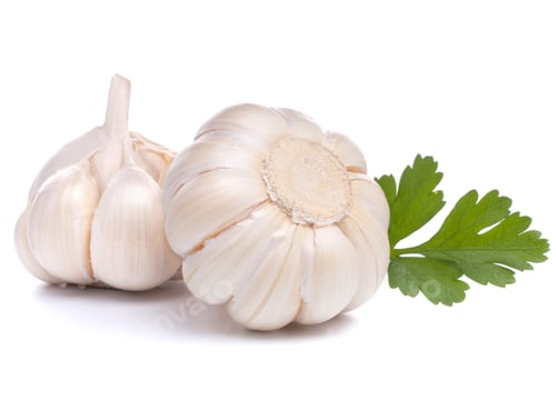 Preview: garlic bulb