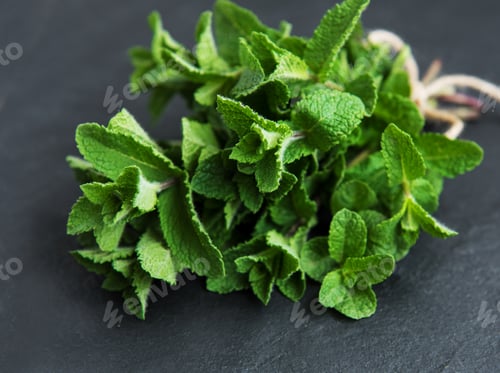 Preview: Fresh mint leaves
