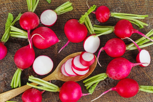 Preview: Small pile of garden radish