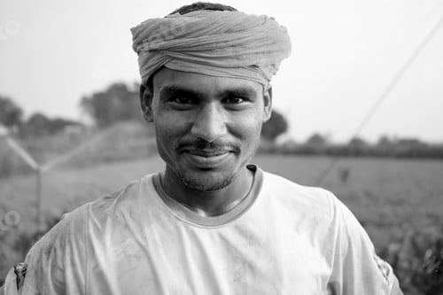 Preview: Indian farmer working in green chickpea garden