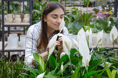 Preview: Beautiful young woman in a flower shop and choosing flowers.