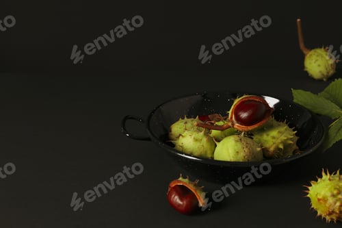 Preview: Fresh and ripe chestnuts, space for text