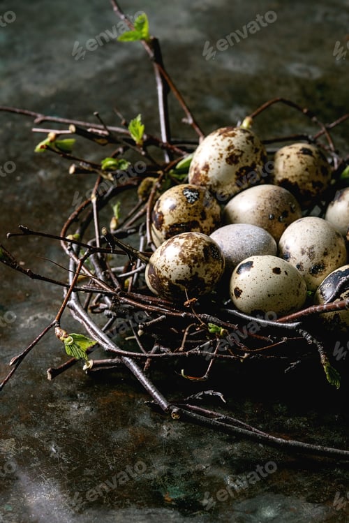 Preview: Quail Easter eggs in nest