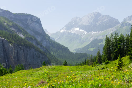 Preview: Panoramic view of green alpine meadows and mountains