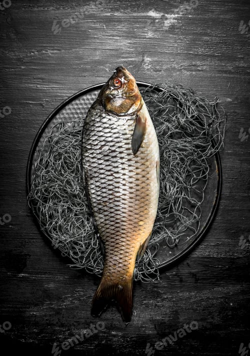 Preview: The fish on the plate with a fishing net.