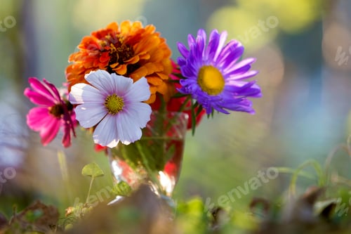Preview: Close-up of beautiful autumn bright multicolored field flowers composition in transparent glass vase
