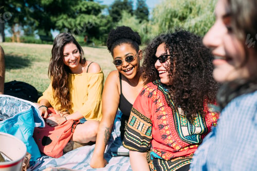 Preview: Group of friends relaxing at picnic in park