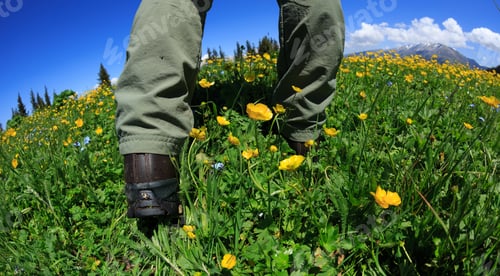 Preview: Hiker legs enjoy the view on flower and grass mountain peak