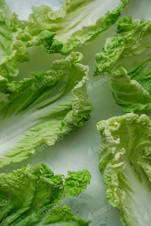Preview: Chinese cabbage, background texture of green leaves, close up.