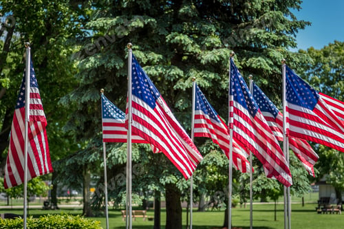 Preview: American flags wave solemnly on flagpoles in park in Memorial Day