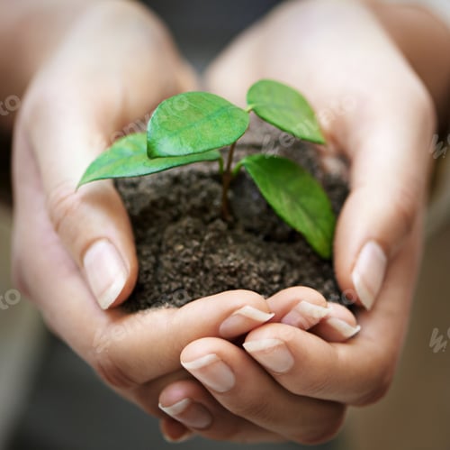 Preview: Nurture your business