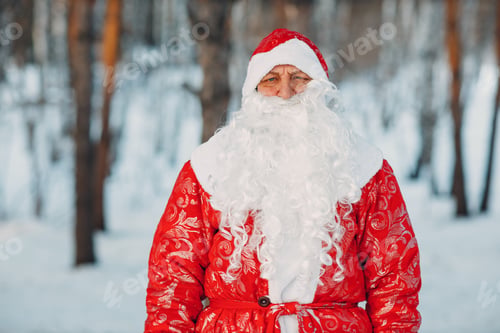 Preview: Santa Claus with long white beard portrait in the winter forest.
