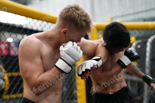 Preview: MMA Fighter Training