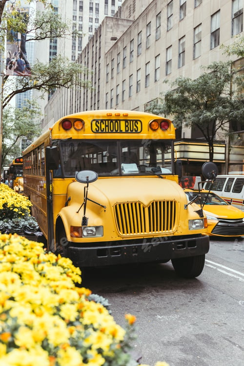 Preview: urban scene of yellow school bus and cars on street in new york, usa