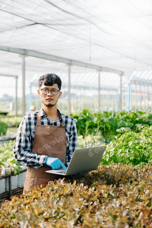 Preview: Asian farmer using hand holding laptop and organic vegetables hydroponic in greenhouse plantation.