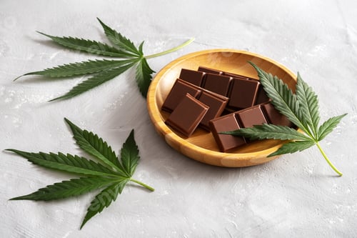 Preview: Chocolate bars on wooden tray with cannabis leaves on gray textured background