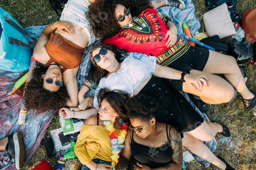 Preview: Group of friends relaxing at picnic in park