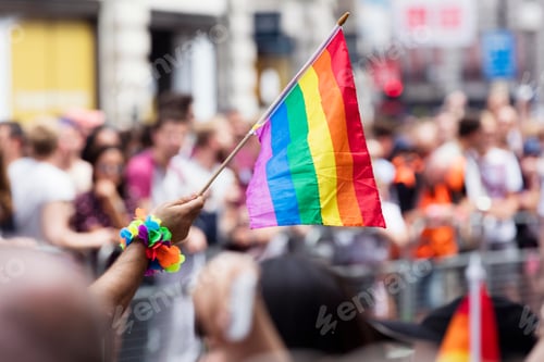 Preview: LGBT rainbow flag waved at a pride march