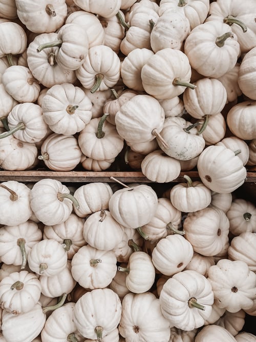 Preview: Pumpkins