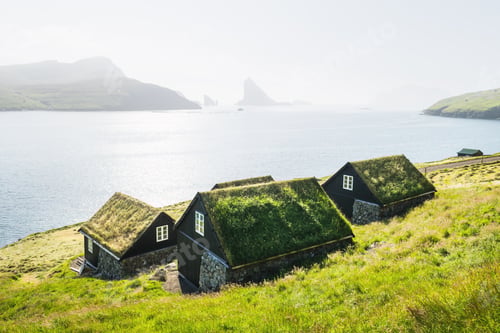 Preview: Picturesque view of tradicional faroese grass-covered houses