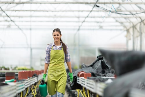 Preview: Working in the greenhouse.