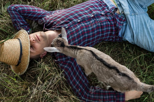 Preview: a happy man of Caucasian appearance, a farmer holds and hugs his favorite baby goat. a small goat. T