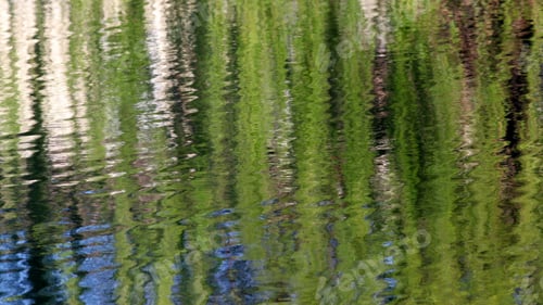 Preview: Reflections Of Weeping Willow Tree - Photograph Of Reflections Of A Weeping Willow Tree In A Pond