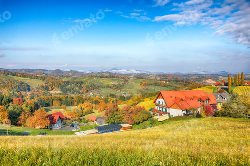 Preview: Breathtaking vineyards landscape in South Styria near Gamlitz.