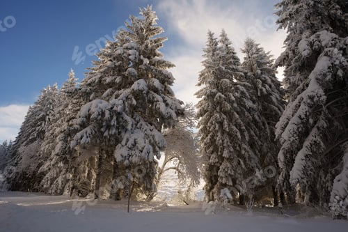 Preview: Winter in Auvergne, France