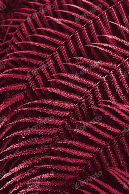 Preview: Viva Magenta beautiful view of plant in monochrome color.